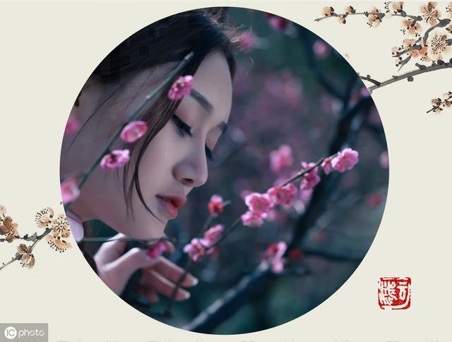 赏梅史—被称为“绝世尤物”的中国之花，为何备受文人喜爱？