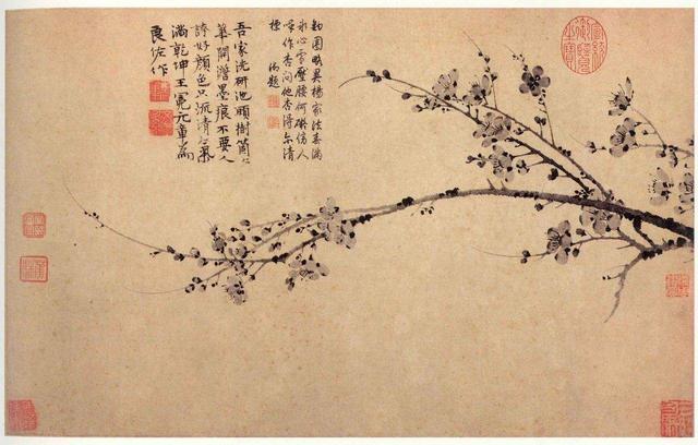 赏梅史—被称为“绝世尤物”的中国之花，为何备受文人喜爱？