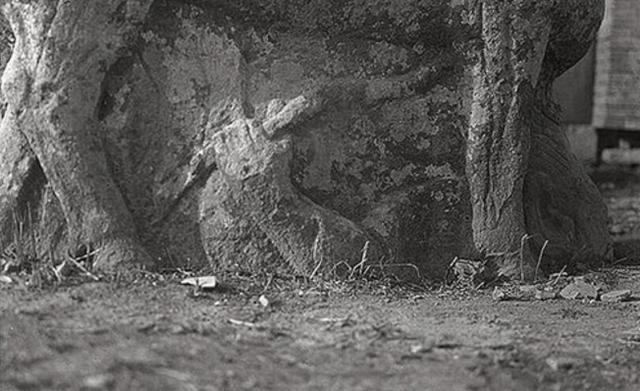 1914年法国人拍摄的霍去病墓真实情况：匈奴未灭，何以家为